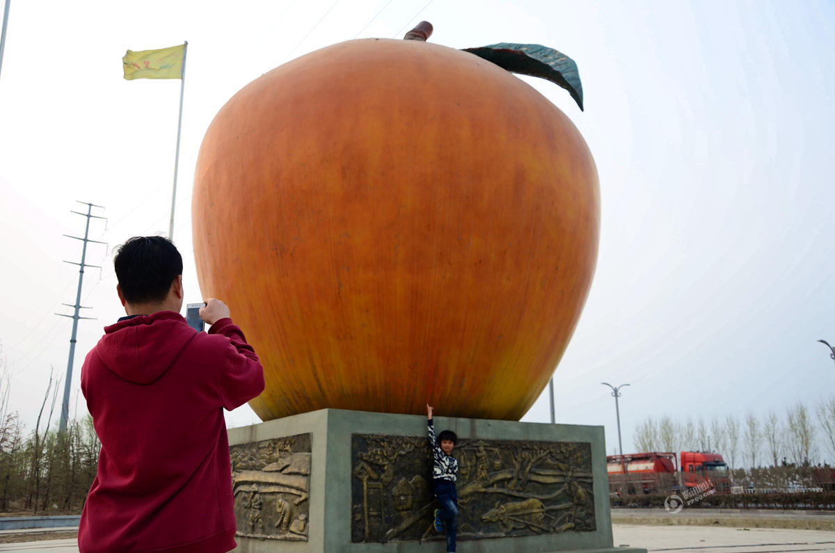山东聊城现巨型苹果雕塑高达8米(图)