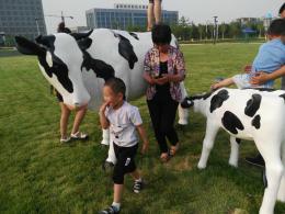 玻璃钢彩绘奶牛雕塑_滨州宏景雕塑有限公司