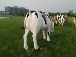 hj2681 玻璃钢彩绘奶牛雕塑_玻璃钢彩绘奶牛雕塑_滨州宏景雕塑有限公司