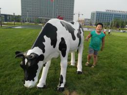 hj2686 玻璃钢彩绘奶牛雕塑_玻璃钢彩绘奶牛雕塑_滨州宏景雕塑有限公司